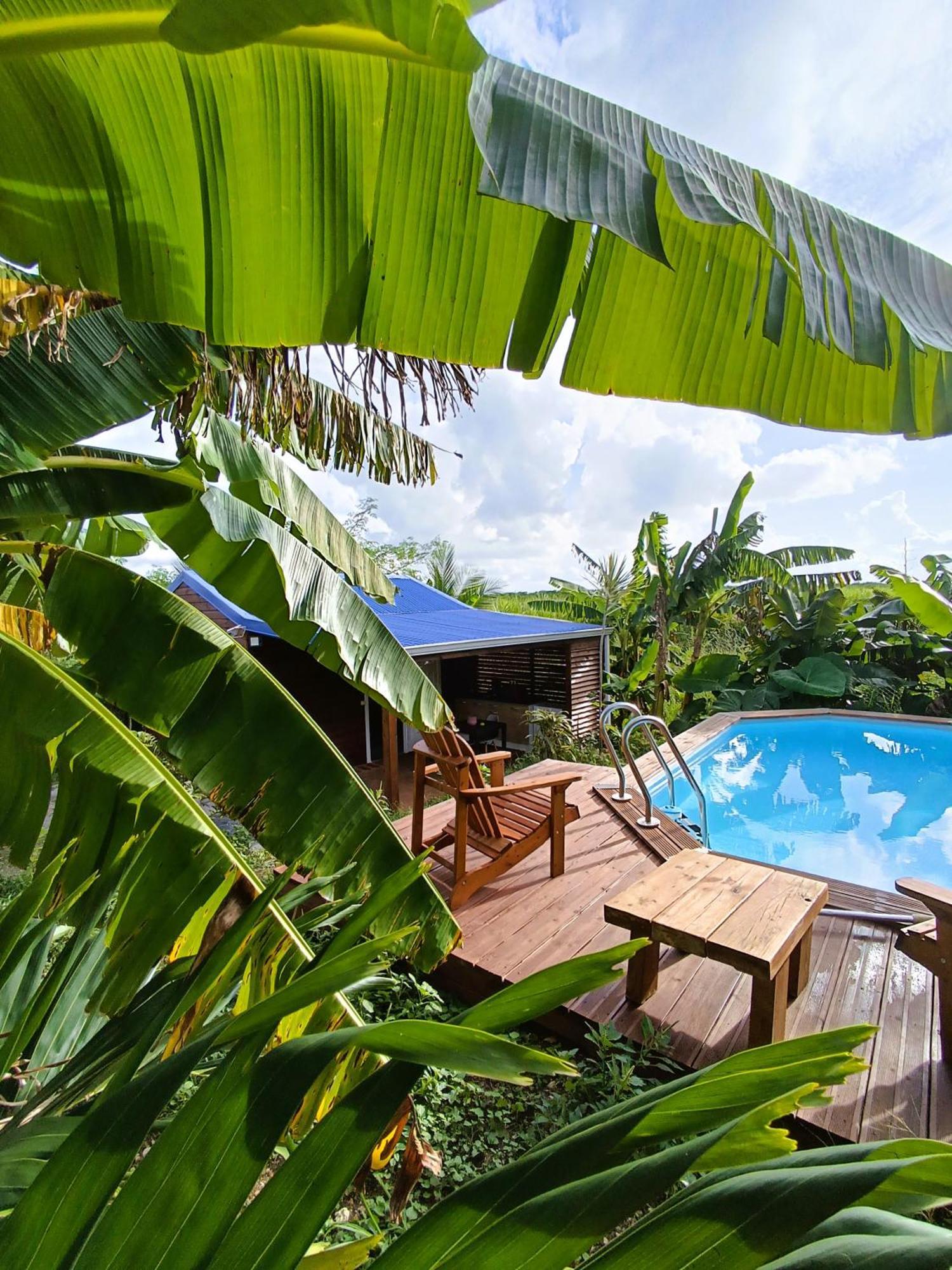 Vila Le Paradis Des Colibris Anse-Bertrand Exteriér fotografie