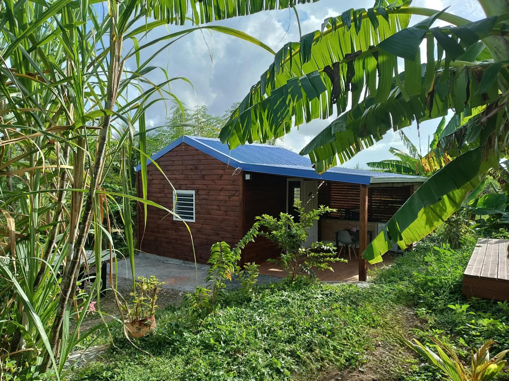 Vila Le Paradis Des Colibris Anse-Bertrand Exteriér fotografie