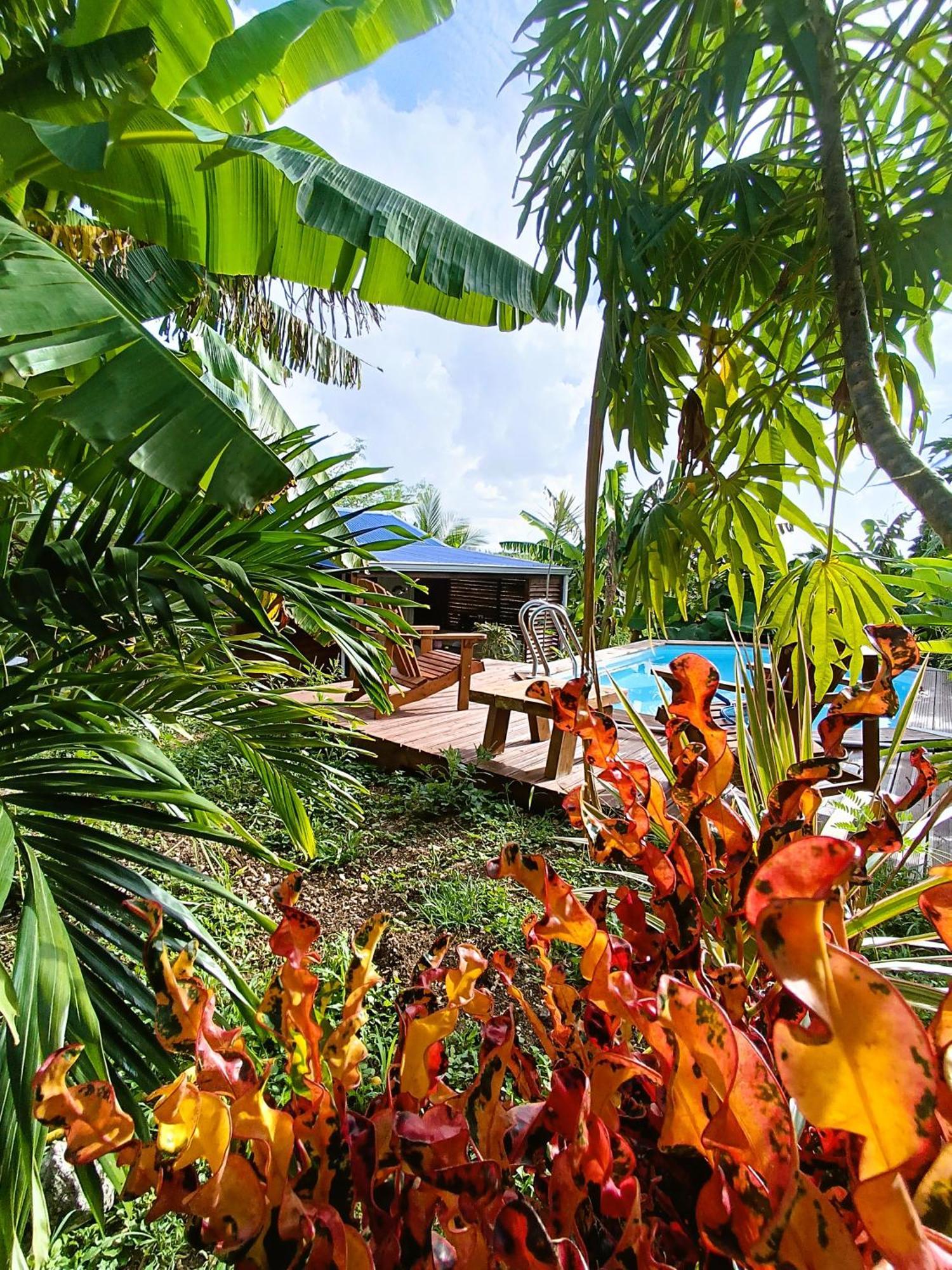 Vila Le Paradis Des Colibris Anse-Bertrand Exteriér fotografie